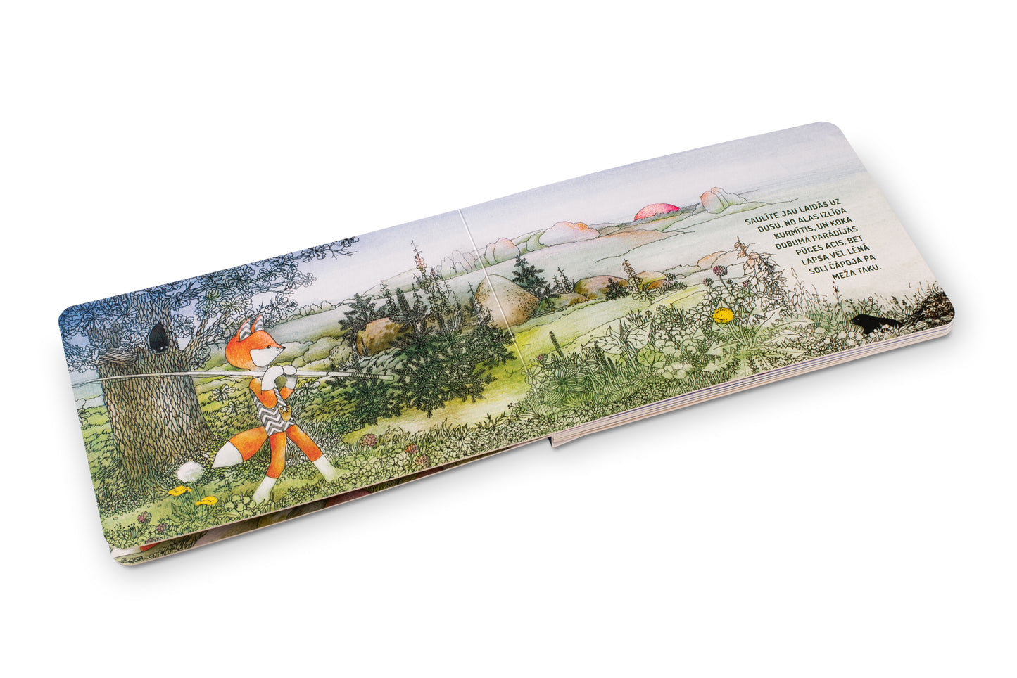 Picture book "Lapsa iet čučēt"