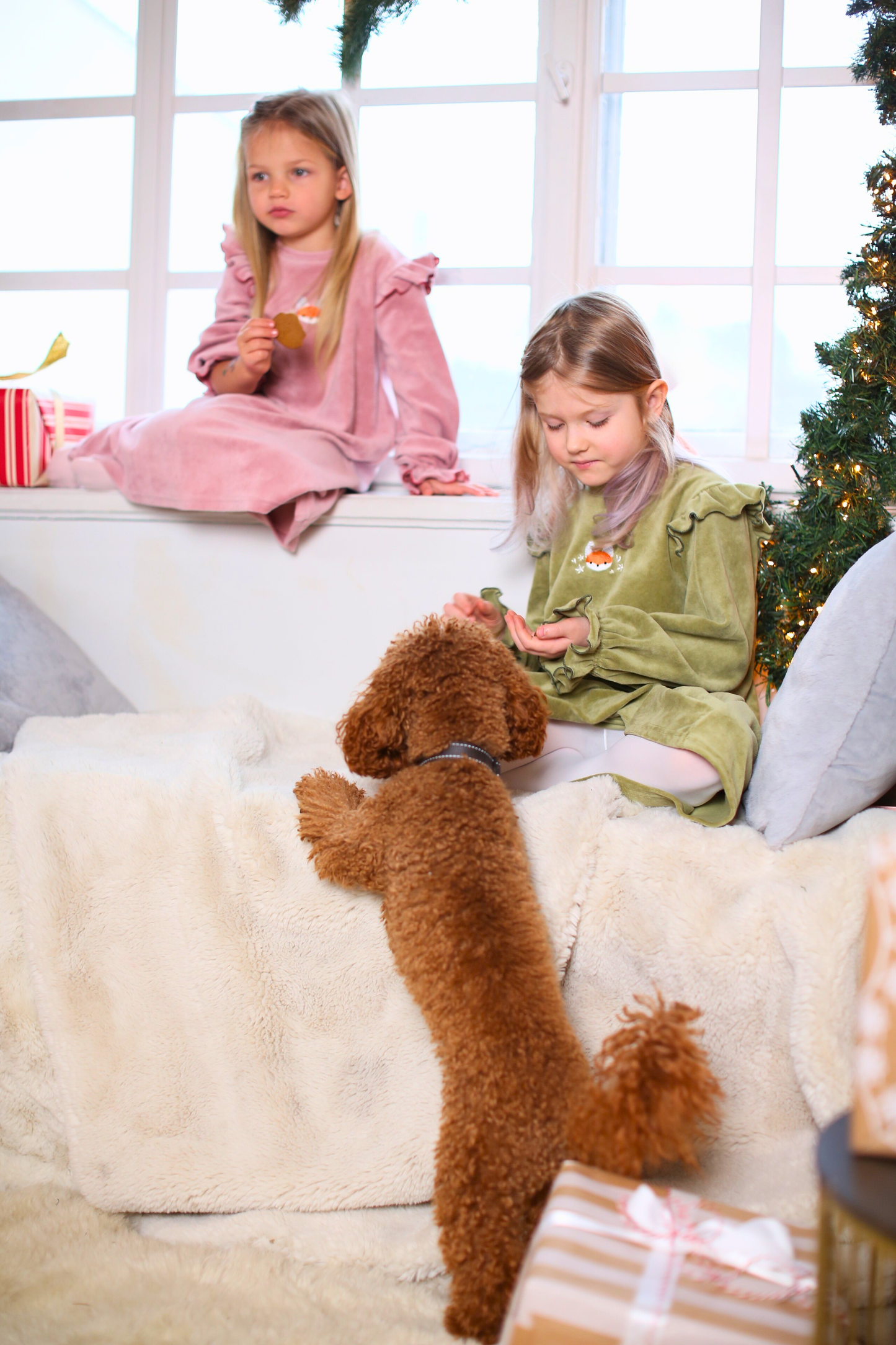 Roosa sametkleit Rebase-tikandiga