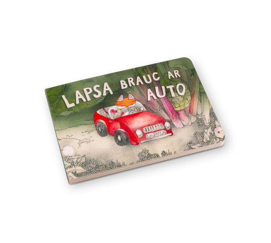 Picture book “Lapsa brauc ar auto”